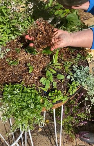 CAA440C6-DBEE-4BCC-967C-64D85F031E10.jpeg CAA440C6-DBEE-4BCC-967C-64D85F031E10.jpeg