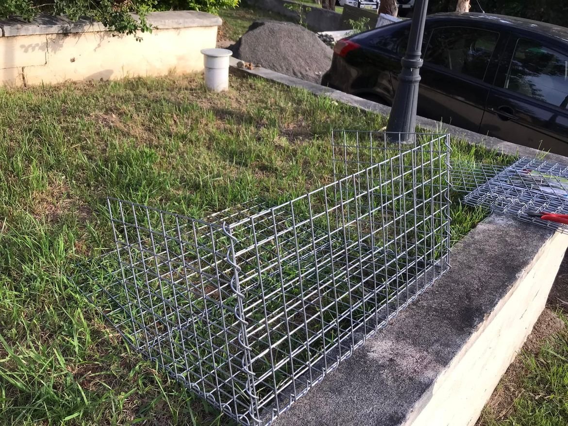 16 01-01-2022.jpg 16 01-01-2022.jpg