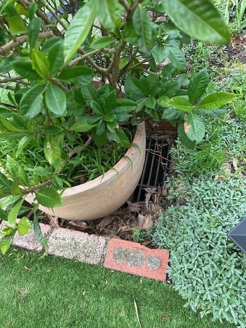 Grate 1.jpg Grate 1.jpg