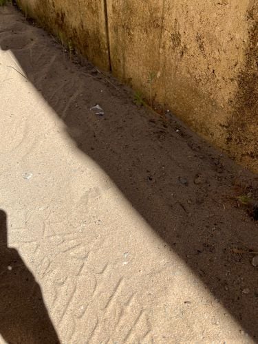 IMG_1995.jpeg IMG_1995.jpeg