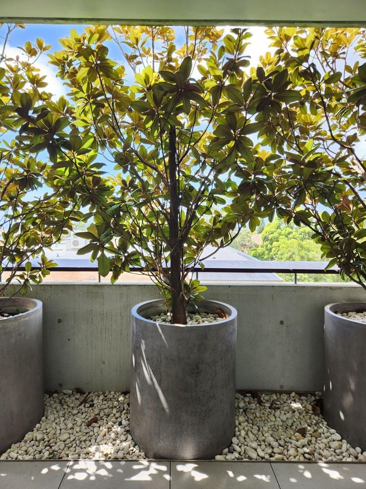 20250119_111337.jpg 20250119_111337.jpg