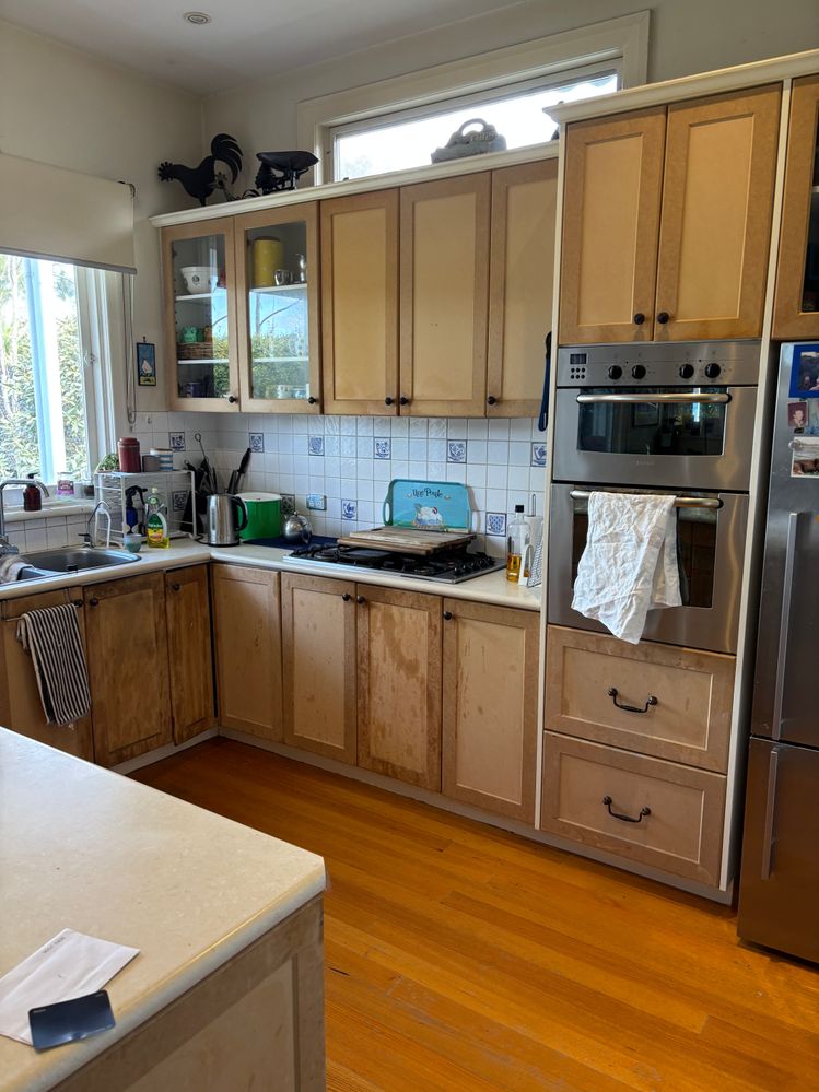 IMG_6045.jpeg IMG_6045.jpeg