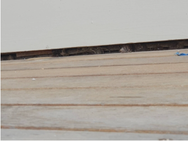 gap medium profile.png gap medium profile.png