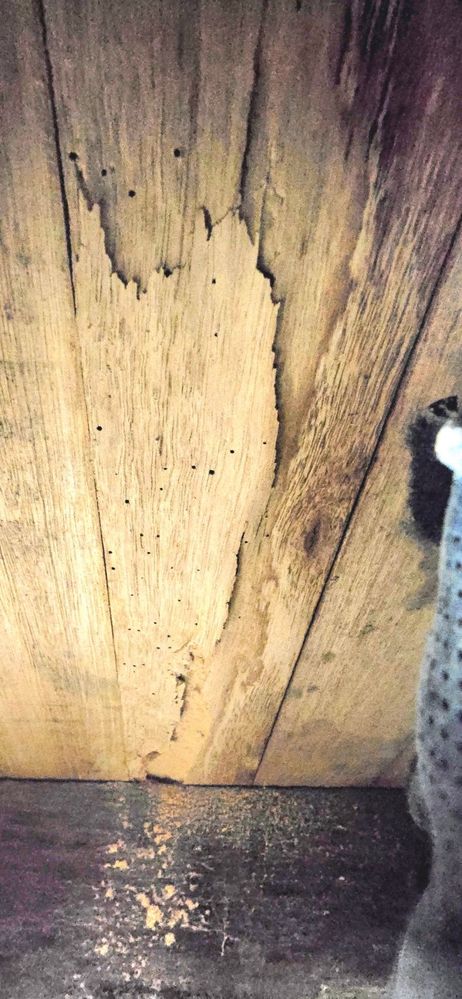 20250517_134905.jpg 20250517_134905.jpg