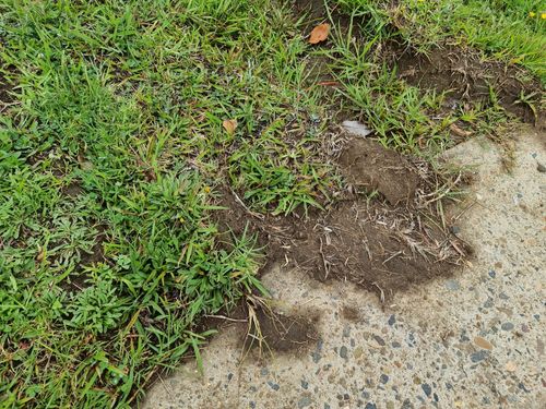 20251216_093646.jpg 20251216_093646.jpg