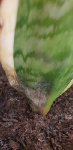 20240804_084403.jpg 20240804_084403.jpg