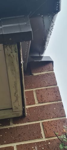 20251129_094116.jpg 20251129_094116.jpg