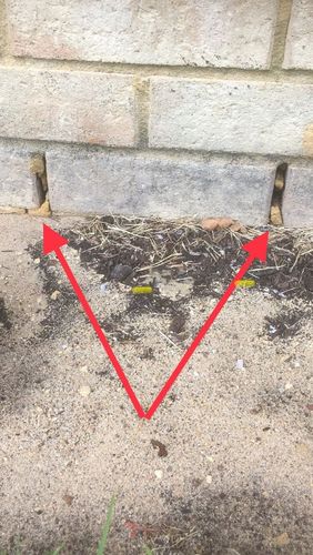 B0A67C4A-12BA-414A-A801-E1B2C8FC3A82.jpeg B0A67C4A-12BA-414A-A801-E1B2C8FC3A82.jpeg