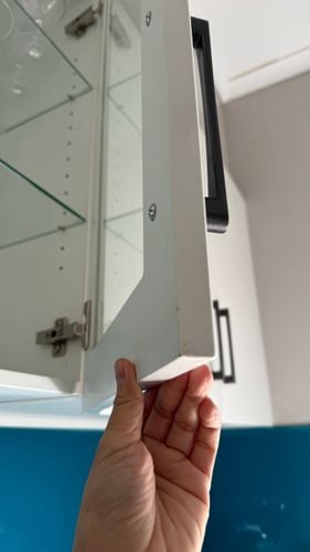 IMG_2343.jpeg IMG_2343.jpeg