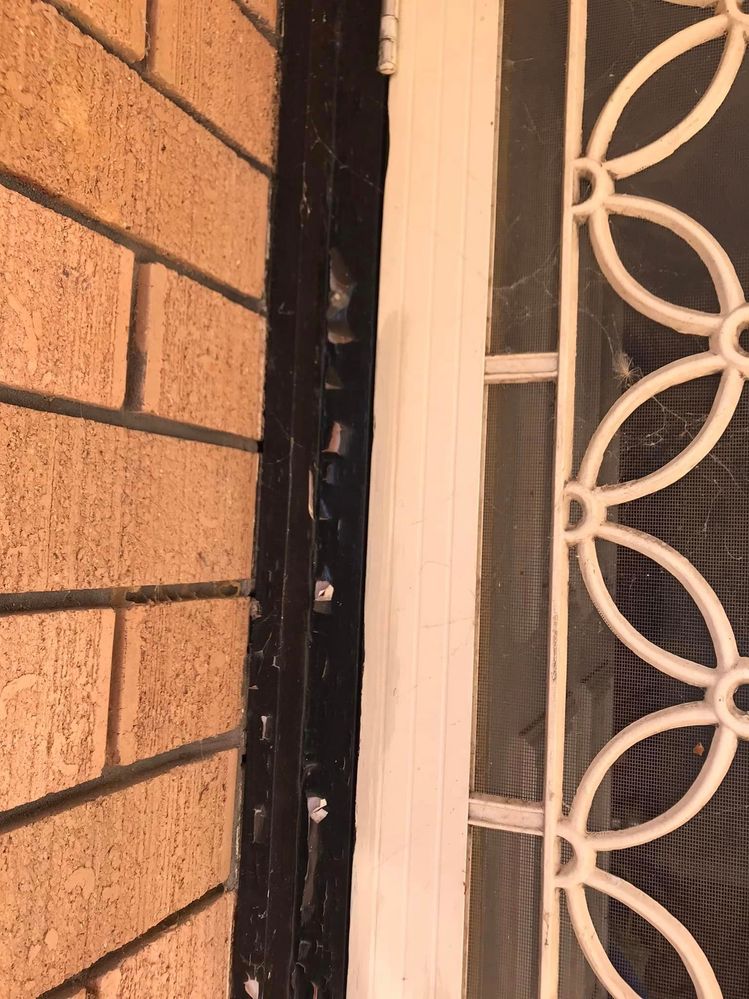 03 19-06-2023.jpg 03 19-06-2023.jpg