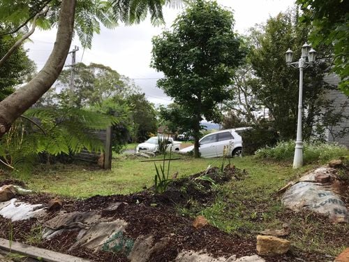 121 02-12-2023.jpg 121 02-12-2023.jpg