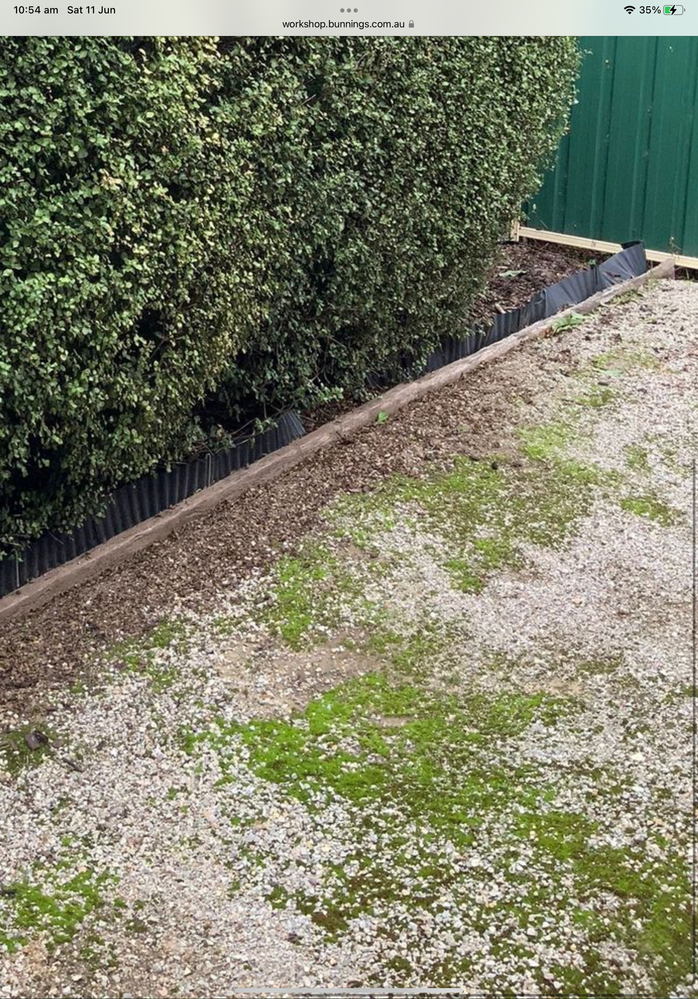 3FD224AB-02CF-4348-A707-3619BAA01EAA.png 3FD224AB-02CF-4348-A707-3619BAA01EAA.png