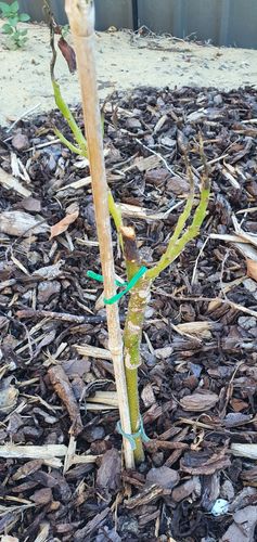 20210219_173328.jpg 20210219_173328.jpg