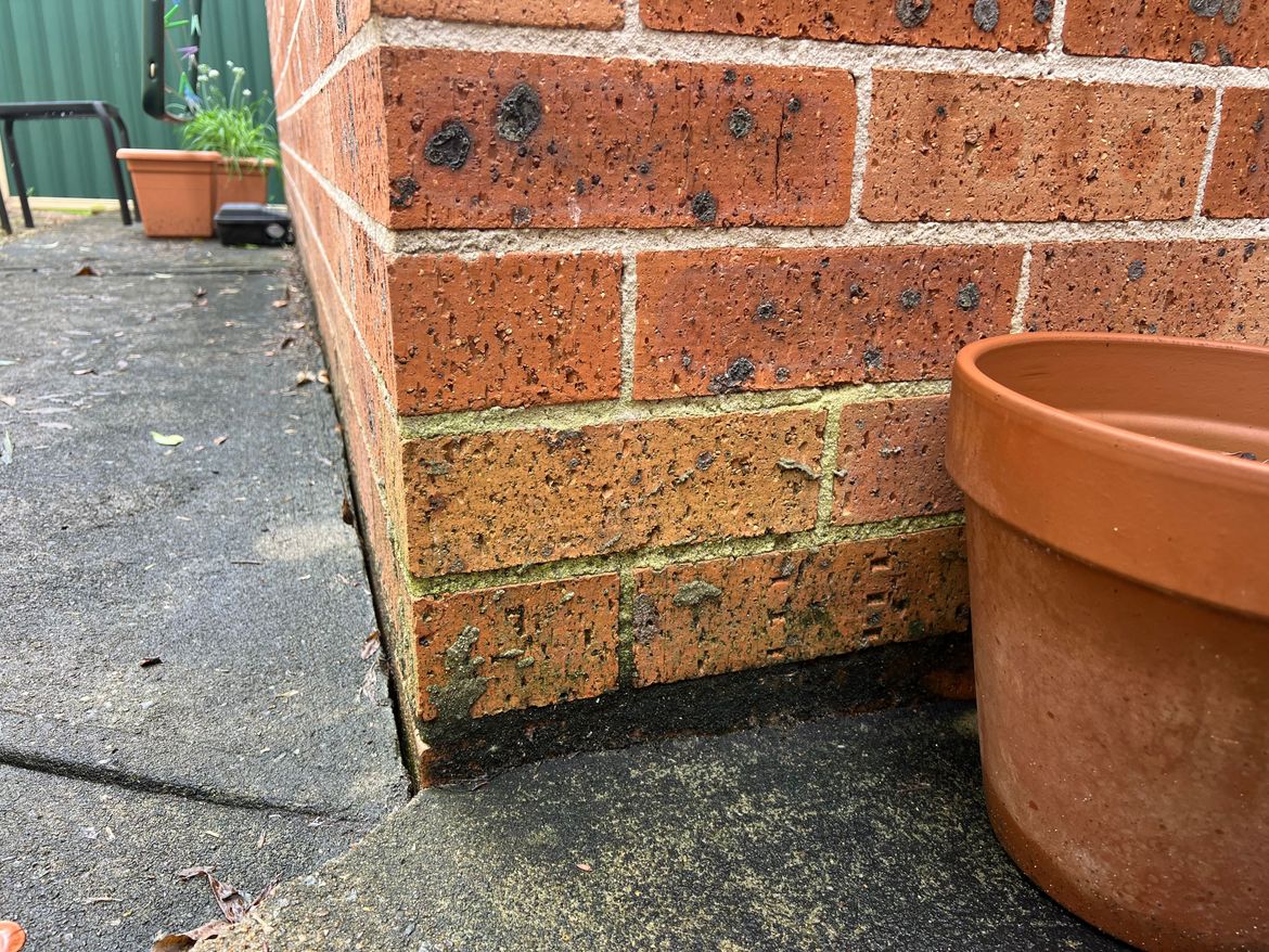 IMG_5237.jpeg IMG_5237.jpeg