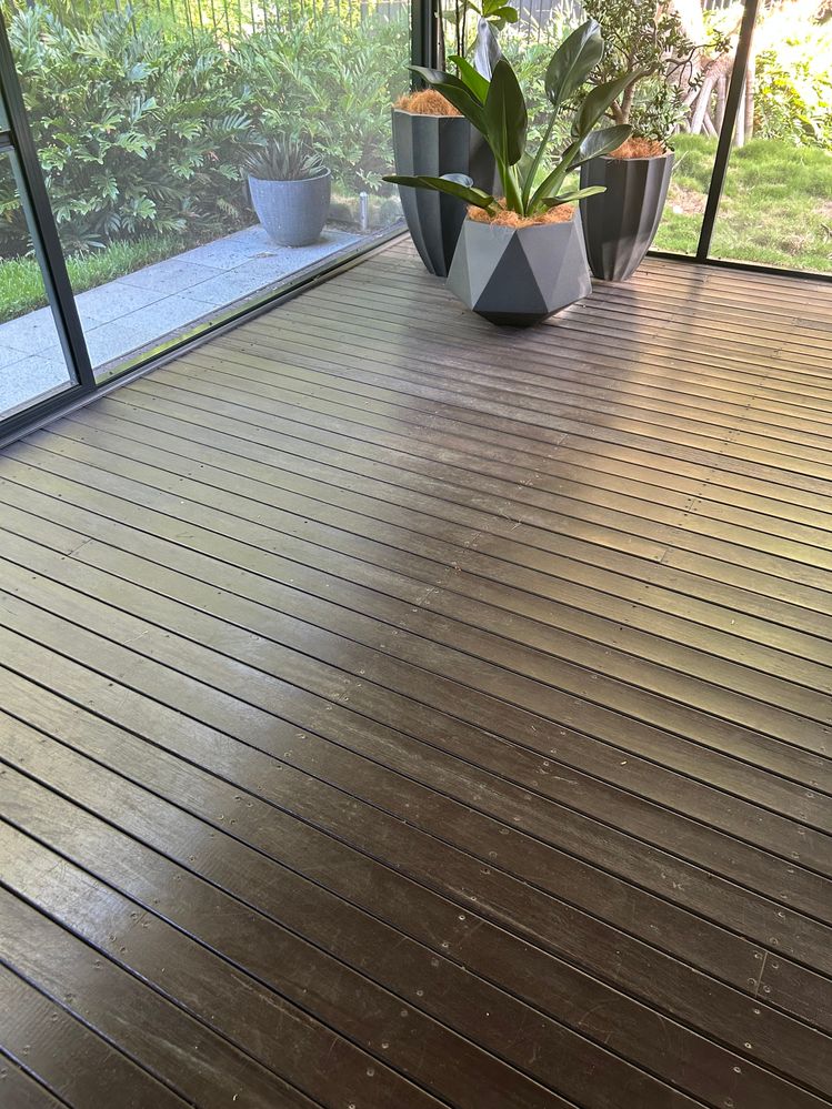 IMG_9152.jpeg IMG_9152.jpeg