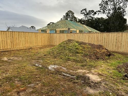 IMG_3340.jpeg IMG_3340.jpeg