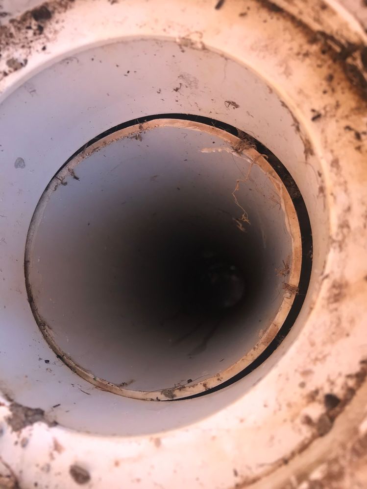 IMG_4688.jpg IMG_4688.jpg