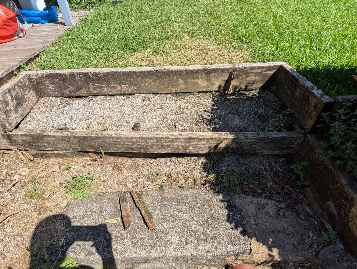 PXL_20250313_005419359.jpg PXL_20250313_005419359.jpg