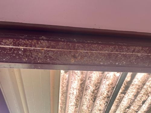 IMG_9329.jpeg IMG_9329.jpeg