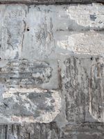 IMG20240513160920.jpg IMG20240513160920.jpg