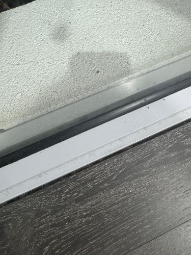 IMG_0670.jpeg IMG_0670.jpeg