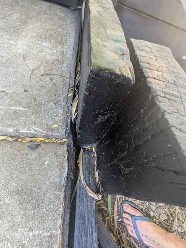 1000013518.jpg 1000013518.jpg