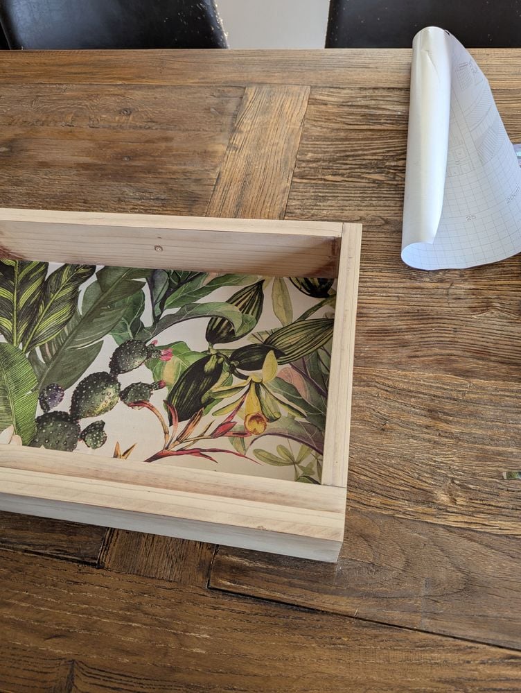 PXL_20250316_044609761.jpg PXL_20250316_044609761.jpg