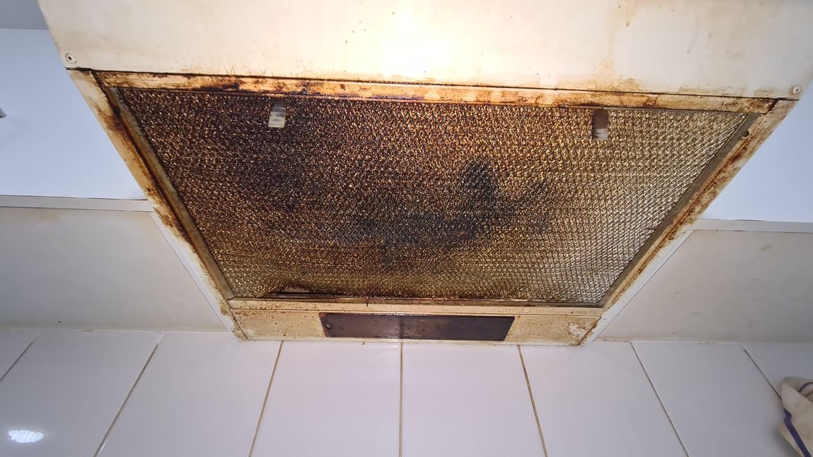 20240524_052326.jpg 20240524_052326.jpg