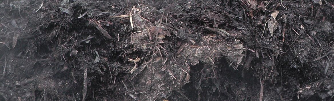Compost_steaming_-_detail_2.jpg Compost_steaming_-_detail_2.jpg
