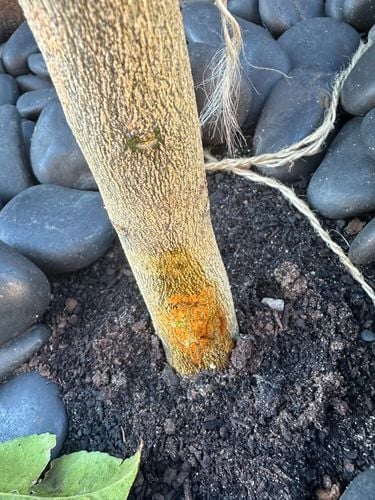 IMG_2291.jpeg IMG_2291.jpeg