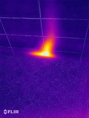 IMG_5445.JPG IMG_5445.JPG