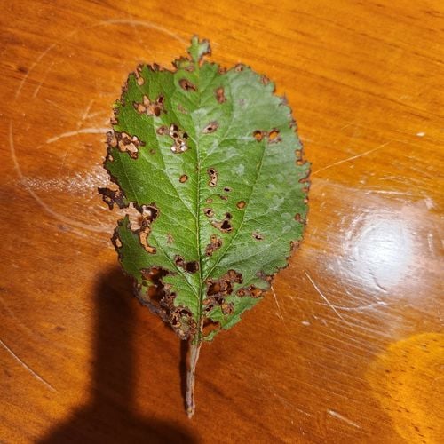 20240201_213904.jpg 20240201_213904.jpg