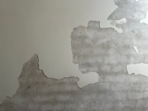 IMG_1643.jpeg IMG_1643.jpeg