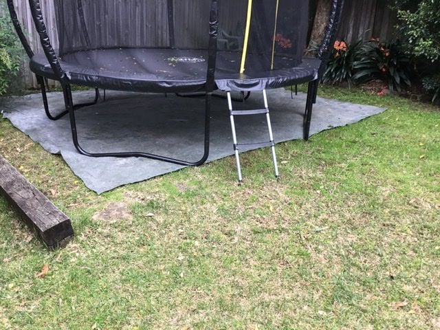 F151682B-8019-4727-BBA6-96E8781DD9B2.jpeg F151682B-8019-4727-BBA6-96E8781DD9B2.jpeg