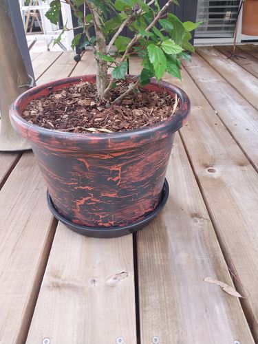 20230217_092203.jpg 20230217_092203.jpg