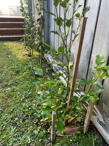 IMG_8533.jpeg IMG_8533.jpeg