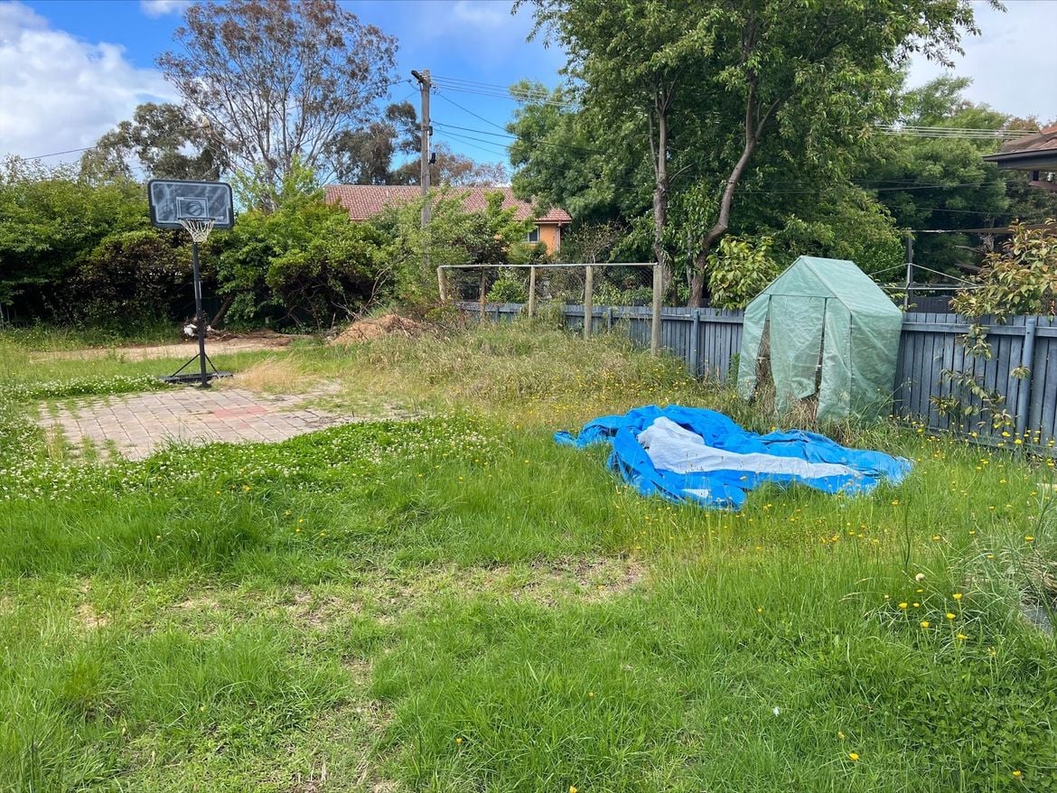 Image.jpeg Image.jpeg