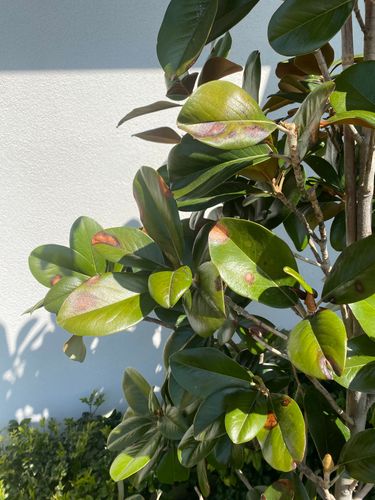 IMG_4208.jpeg IMG_4208.jpeg