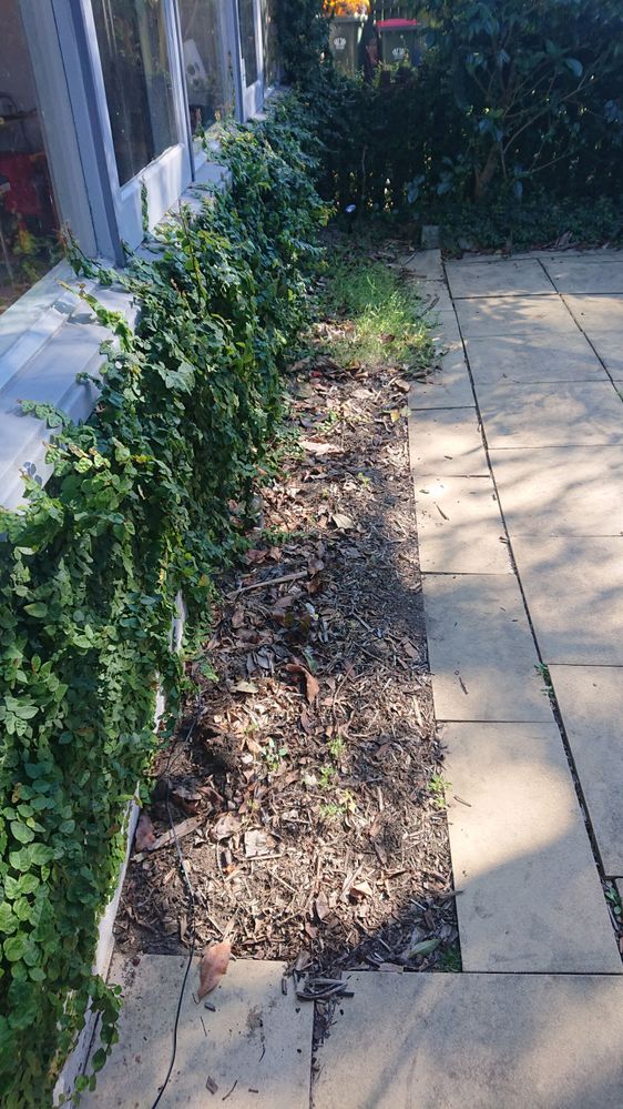 DSC_0383.JPG DSC_0383.JPG