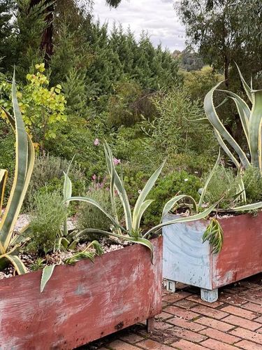 C7D50297-B4A3-4870-B054-60256ACEBCD1.jpeg C7D50297-B4A3-4870-B054-60256ACEBCD1.jpeg