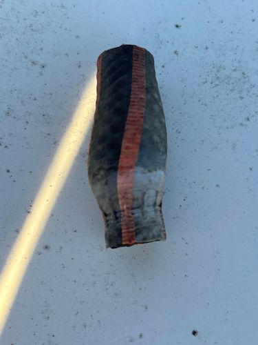 IMG_4350.jpeg IMG_4350.jpeg