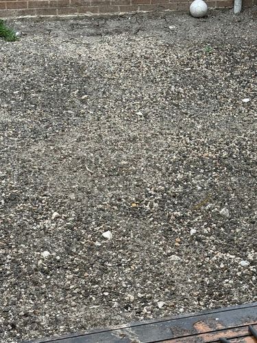 MadylinGamble_3-1769849579272.jpeg MadylinGamble_3-1769849579272.jpeg