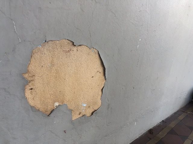 IMG_5120.jpg IMG_5120.jpg