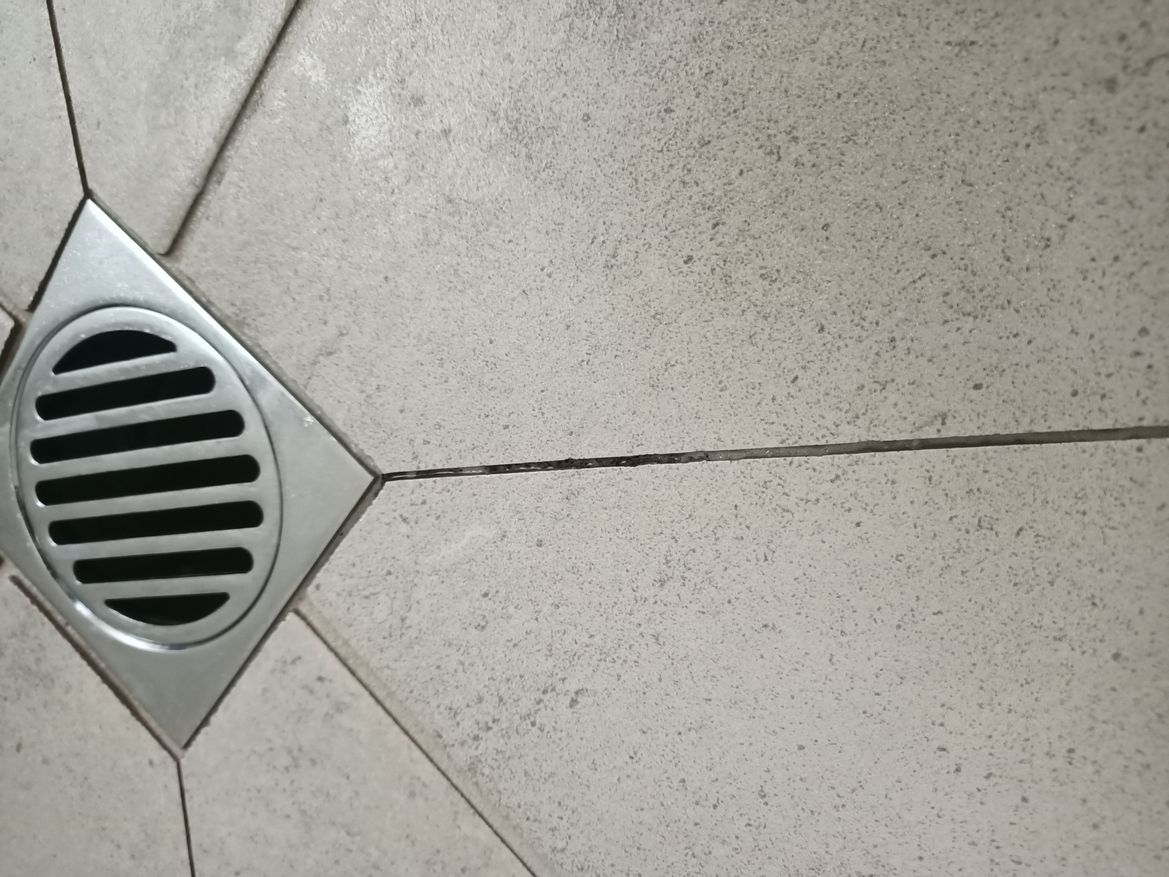 IMG20250331114854.jpg IMG20250331114854.jpg