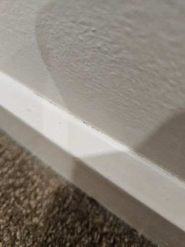 1000011612.jpg 1000011612.jpg