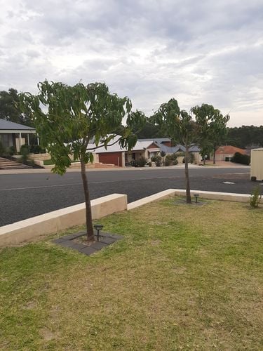 inbound1920214280657822596.jpg inbound1920214280657822596.jpg