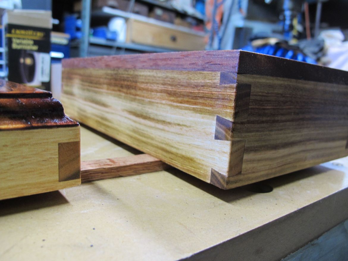 IMG_1481.JPG IMG_1481.JPG