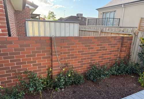 IMG_3916.jpeg IMG_3916.jpeg