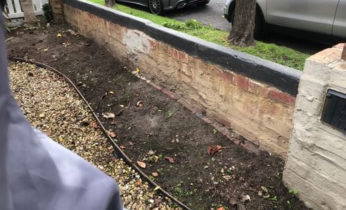 IMG_7397.jpeg IMG_7397.jpeg