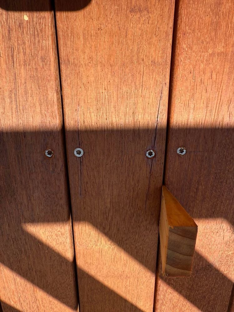 467474288_1953196761815790_7690427949369350413_n.jpg 467474288_1953196761815790_7690427949369350413_n.jpg